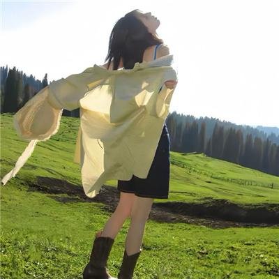 铁金刚勇斗女杀手